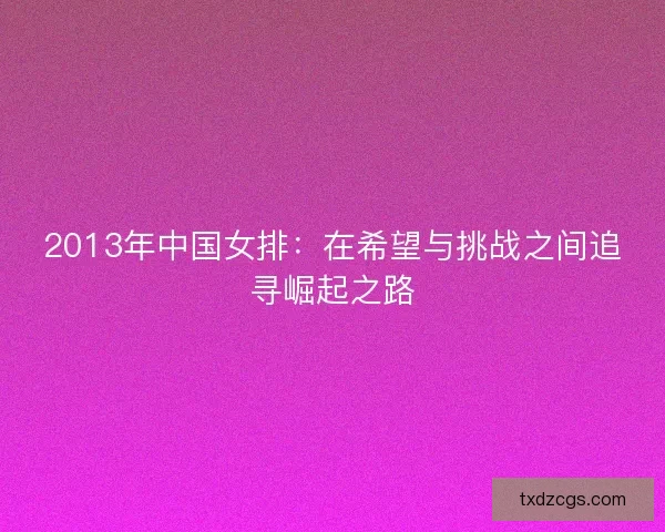 2013年中国女排：在希望与挑战之间追寻崛起之路