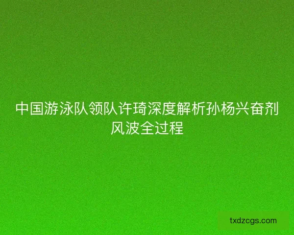 中国游泳队领队许琦深度解析孙杨兴奋剂风波全过程