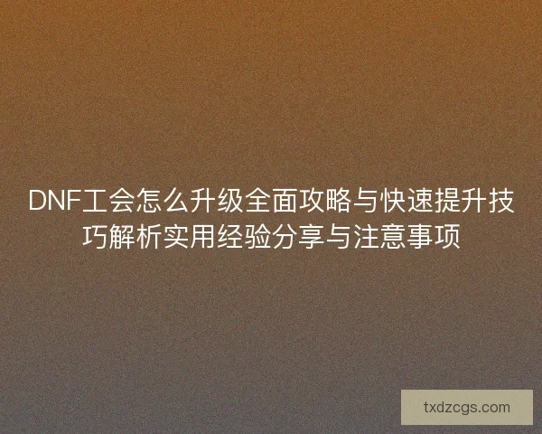 DNF工会怎么升级全面攻略与快速提升技巧解析实用经验分享与注意事项